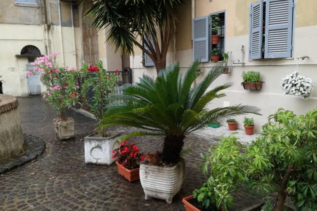 Trastevere House Apartment โรม ภายนอก รูปภาพ